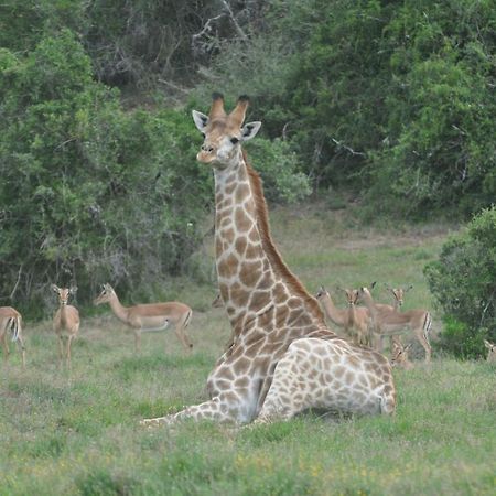 Hopewell Private Game Reserve Buyskloof Exterior photo