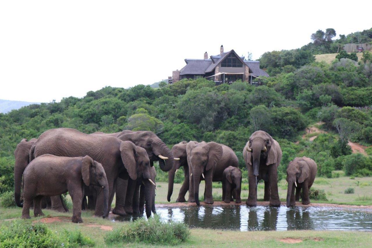 Hopewell Private Game Reserve Buyskloof Exterior photo